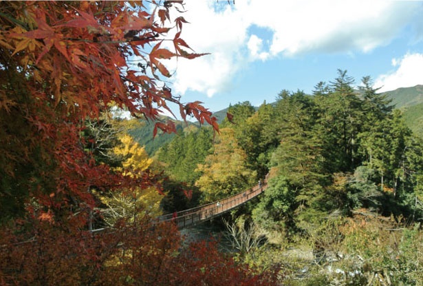 多摩川の支流で最大といわれる秋川。あきる野市から檜原村にかけてが「秋川渓谷」と呼ばれる