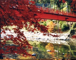 写真に撮りたい！中国地方のおすすめ紅葉スポット10選