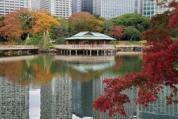 都内で唯一の海水の池である、浜離宮恩賜庭園の「潮入の池」。水面に茶屋が映り込み、趣深い景観に