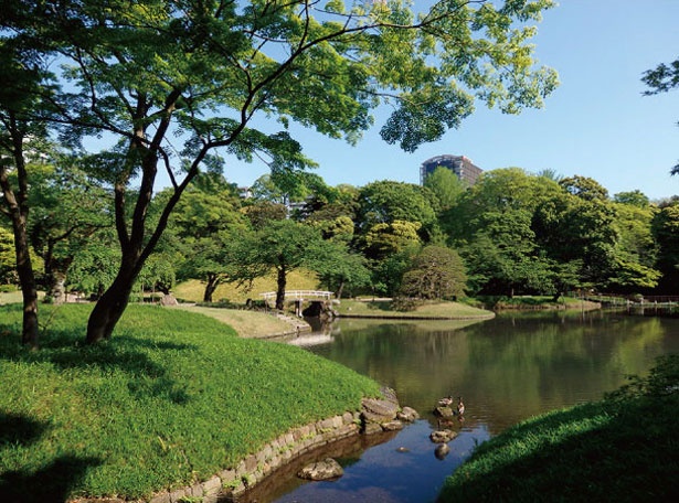 小石川後楽園にある大泉水は、琵琶湖をモチーフにしたシンボル的存在