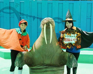 水族館で悪魔ばらい!?伊勢シーパラダイスで海の生き物たちとふれあうハロウィーンイベントが開催！