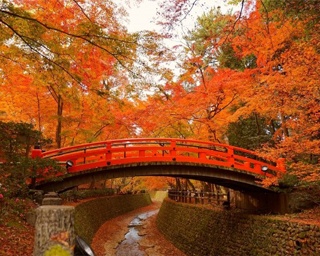 写真に撮りたい！関西のおすすめ紅葉スポット10選