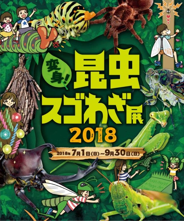 【写真を見る】楽しみながら昆虫について学べるイベント