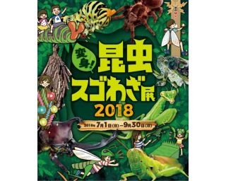 夏休みの宿題はもう終わった？ギリギリまだ間に合う自由研究に役立つ東京イベント6選