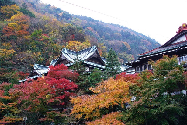 約400年の歴史を誇る、箱根湯本の老舗旅館「環翠楼」と紅葉の共演は必見