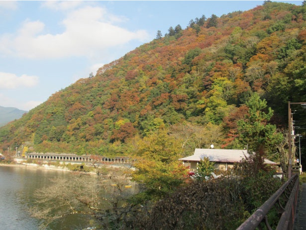 昭和22年に相模ダムの完成と共にできた相模湖。ボートに乗って湖から見る紅葉も一興だ