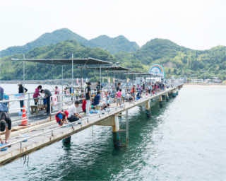 手ぶらで気軽な海釣りにチャレンジ！｢福岡市海づり公園｣で体験レポ