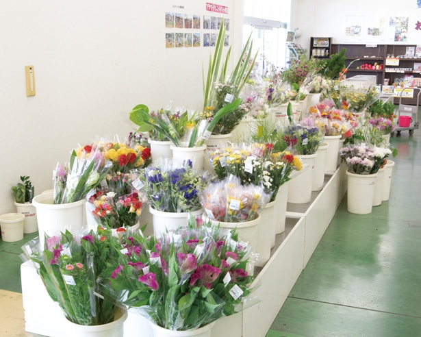 全国でも有数の花の生産地である浜松市。切り花の種類や量も豊富だ