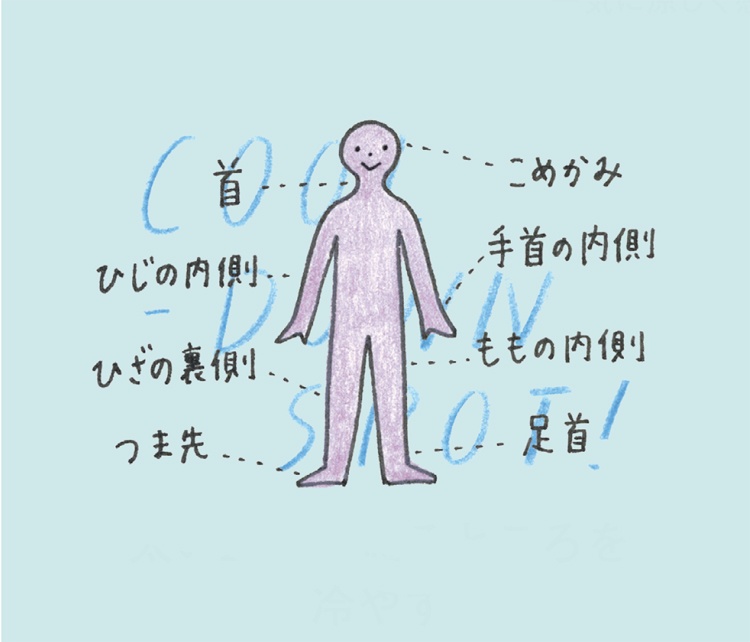太い血管が通るところを冷やす