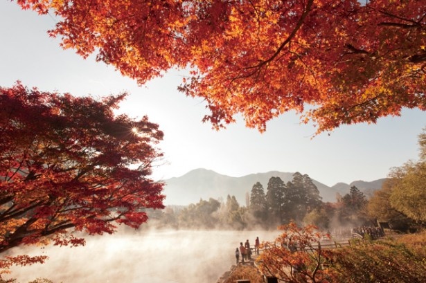 金鱗湖の紅葉 / 大分県由布市湯布院町