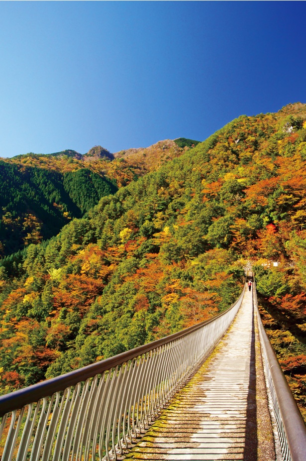 五家荘 / 熊本県八代市