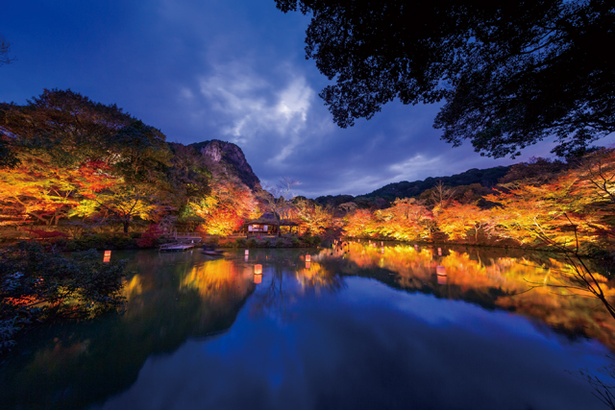 御船山楽園 / 佐賀県武雄市
