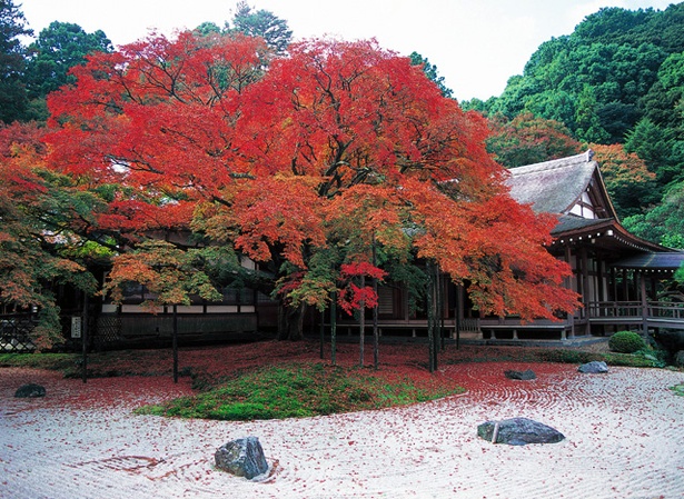 雷山千如寺大悲王院 / 福岡県糸島市