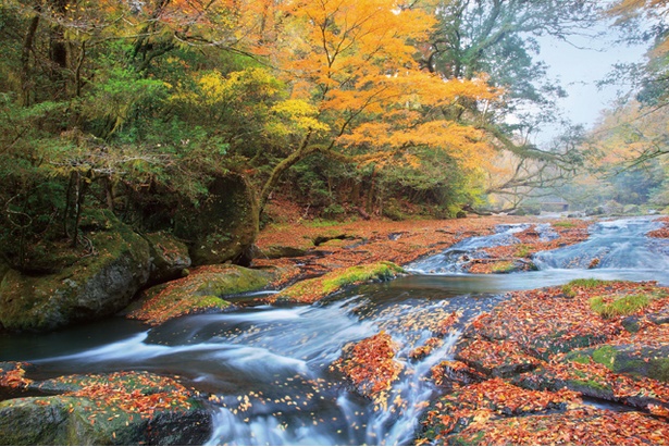 菊池渓谷 / 熊本県菊池市
