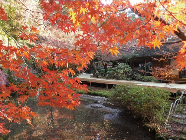 九年庵 / 佐賀県神埼市