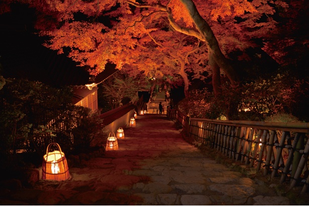 大興善寺 / 佐賀県三養基郡基山町