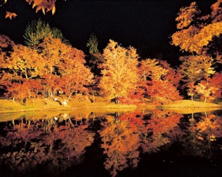 【写真特集】絶対行きたい！九州の“秋”絶景スポット25選