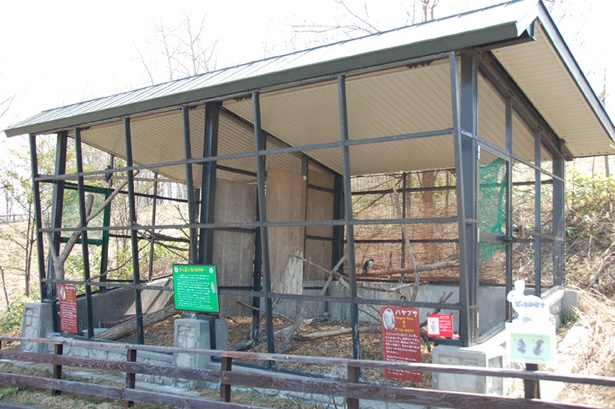 【写真を見る】旭山動物園/「ゆっくりロード」にあるハヤブサの展示施設。隣にはチゴハヤブサを展示