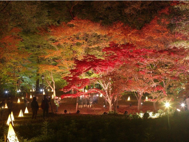 埼玉県の絶景紅葉スポット6選 定番から穴場までさまざまなスポットを紹介 紅葉名所21 ウォーカープラス