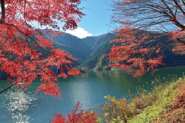 埼玉県の絶景紅葉スポット6選 定番から穴場までさまざまなスポットを紹介 紅葉名所 ウォーカープラス