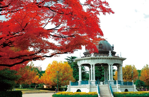 秋まつり 絶景が楽しめる名古屋市内の紅葉名所4選 ウォーカープラス