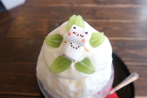 ねこモチーフのグッズや食べ物を販売する