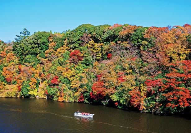 画像6 10 紅葉狩りクルーズも 千葉県の大自然に癒される紅葉名所8選 ウォーカープラス