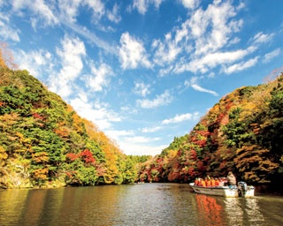 小松寺の紅葉 千葉県 の情報 ウォーカープラス