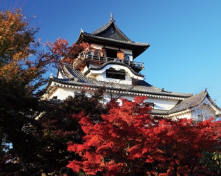 【犬山城】鮮やかな紅葉と国宝の見事な共演！愛知・犬山の風情ある城下町を散策