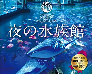夜の生き物を観察するチャンス！石川県・のとじま水族館で「夜の水族館」開催