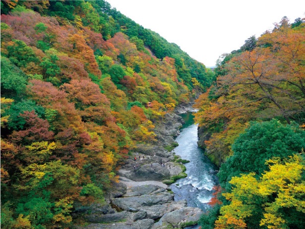 画像5 5 錦に染まる 群馬の富士 も 群馬県の絶景紅葉スポット5選 ウォーカープラス