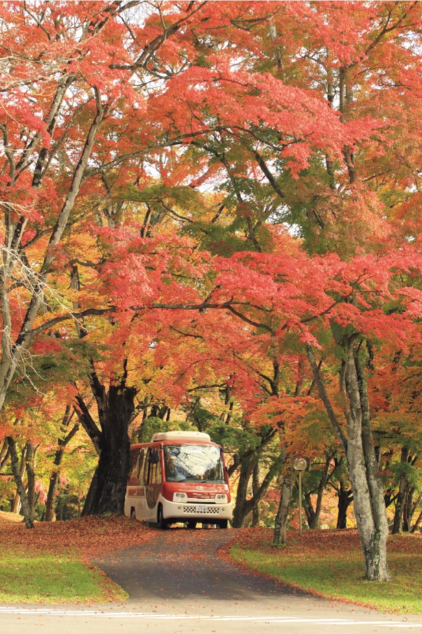 画像2 4 この秋行きたい 軽井沢 東北の紅葉スポット3選 ウォーカープラス
