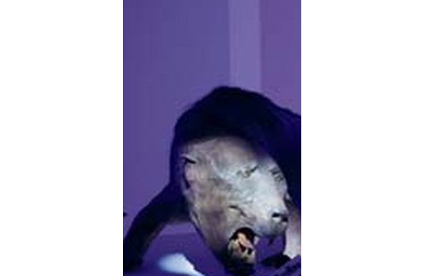 ナイトミュージアムでは懐中電灯で照らすとエクサエレトドンの顔が不気味に光る…