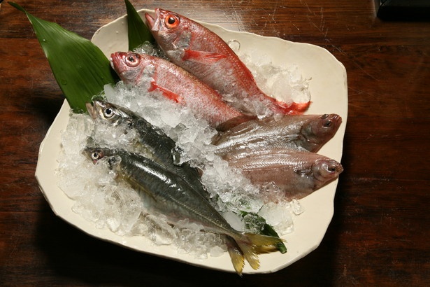 ノドグロ、カレイ、アジを島根県浜田市を代表する「どんちっち三魚」として指定