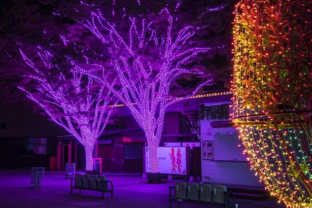 「WONDER MEDIA TREE」はLED1球1球をプログラムで制御。驚きの光の仕掛けが登場する