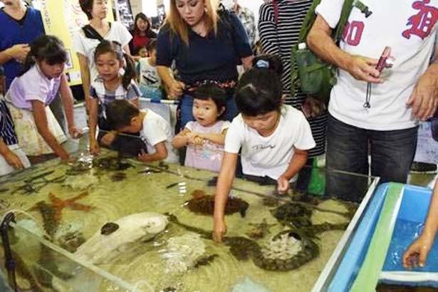 画像4 6 日本最大級の爬虫類展示即売会が開催 名古屋に世界の爬虫類が大集合 ウォーカープラス