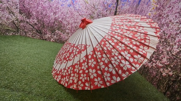 桜と和傘のセット/Four-M