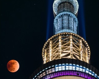 中秋の名月、東京タワーで見るか？東京スカイツリーで見るか？