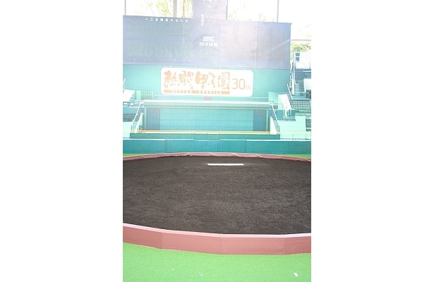 【写真】これが甲子園のマウンド！(ほか写真はコチラ)