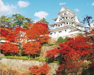 “天守炎上”の異名を持つ岐阜・郡上八幡城を彩る紅葉絶景