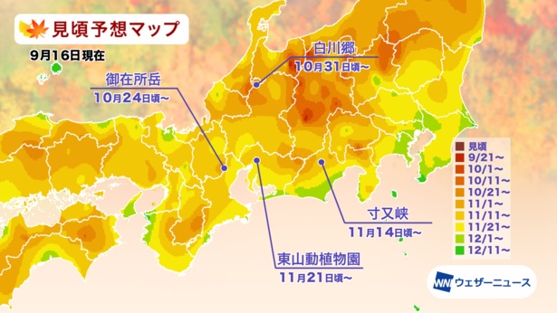 2021年 東海の紅葉(モミジ)見頃予想マップ(9月16日現在)