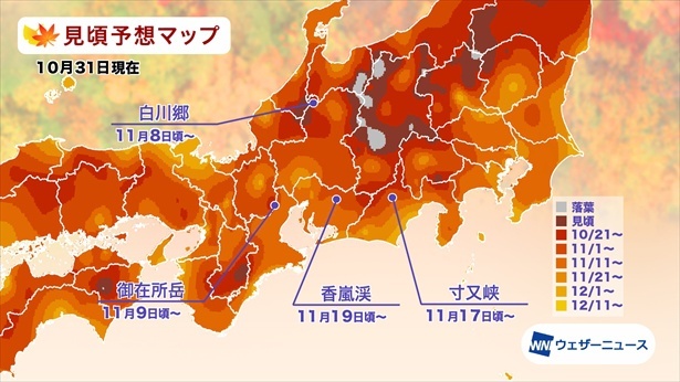 東海の紅葉(モミジ)見頃予想マップ(情報は2024年10月31日発表 ウェザーニューズ)