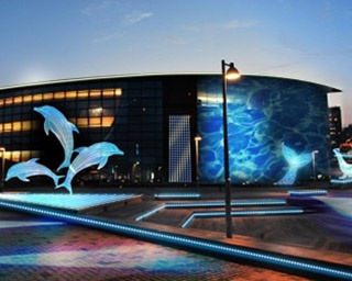 海峡エリアを光の水族館で彩る！山口県で「イルミネーション水族館」