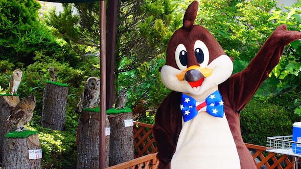 那須ハイランドパーク初 ふれあい動物園が開園中 ウォーカープラス