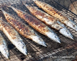 秋に旬を迎える女川のサンマの祭典！宮城県で「第21回おながわ秋刀魚収獲祭2018」開催