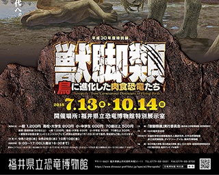 獣脚類と呼ばれる恐竜の進化をたどる・福井県立恐竜博物館「獣脚類 鳥に進化した肉食恐竜たち」