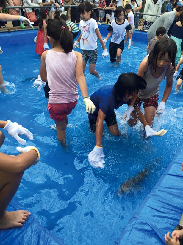 子どもたちが魚の魅力を学ぶ 福岡さかなまつり魚宴 がベイサイドプレイス博多で開催 ウォーカープラス