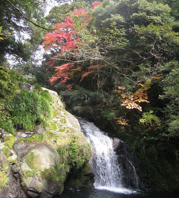 画像1 2 厳選 秋の極彩色に染まる長崎の紅葉絶景2選 ウォーカープラス