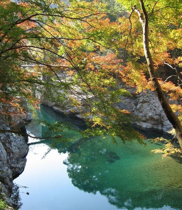 厳選 秋の極彩色に染まる宮崎の紅葉絶景4選 ウォーカープラス