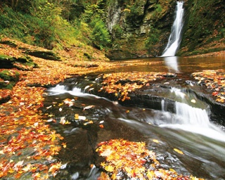 滝と紅葉がつくり出す絶景！三重が誇る大自然の共演を満喫しよう